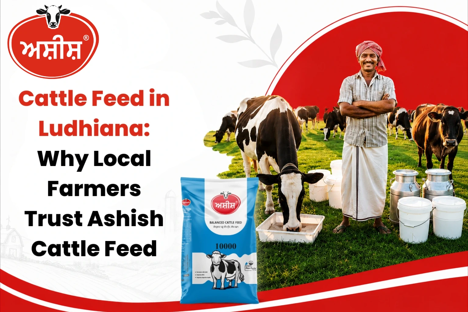 Farmer with dairy cattle using trusted cattle feed Ludhiana for better animal health and milk production